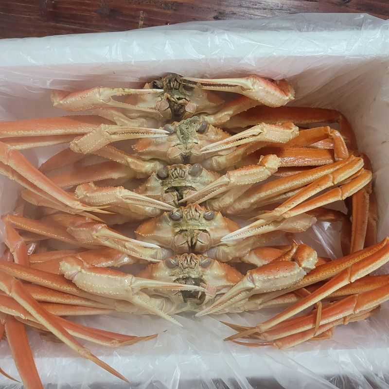 포항아지아수산 님의 장터 판매 상품 [대게] 첨부 사진