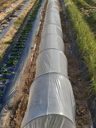 꿀6990님의 기타작물 · 영농일지 작성글 사진