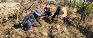 들깨18794님의 기타작물 · 영농일지 작성글 사진