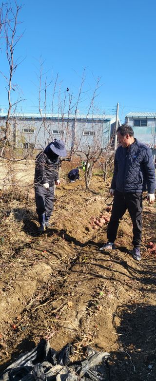 들깨18794님의 기타작물 · 영농일지 작성글 사진