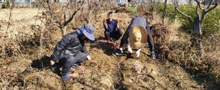 들깨18794님의 기타작물 · 영농일지 작성글 사진