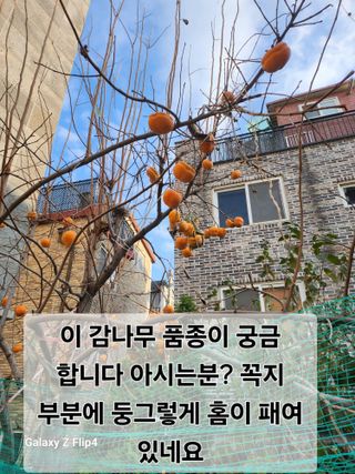 성낙신 님의 자유주제 · 자유게시판 작성글 사진