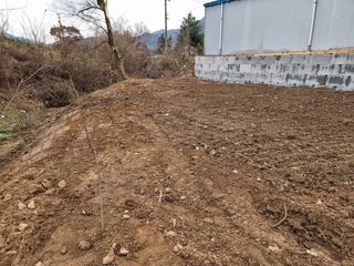 범이님의 기타작물 · 영농일지 작성글 사진