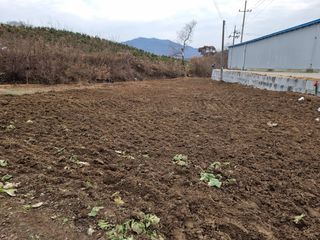 범이님의 기타작물 · 영농일지 작성글 사진