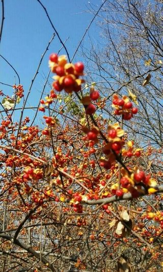 MSG0074님의 자유주제 · 자유게시판 작성글 사진