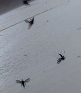 팜모닝 자유주제·자유게시판 게시글 이미지