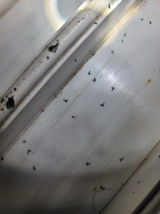 초보농사님의 자유주제 · 자유게시판 작성글 사진