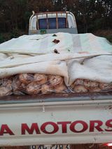 팜모닝 기타작물·영농일지 게시글 이미지