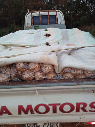 결단이님의 기타작물 · 영농일지 작성글 사진