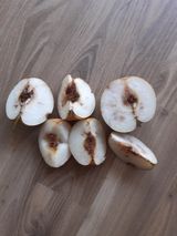 팜모닝 농사, 무엇이든 물어보세요!·참여글 게시글 이미지