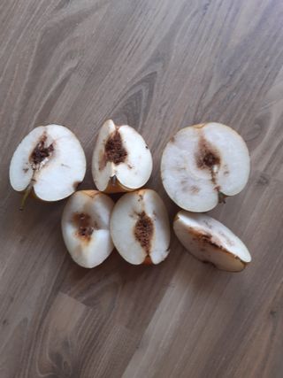 김재훈님의 농사, 무엇이든 물어보세요! · 참여글 작성글 사진