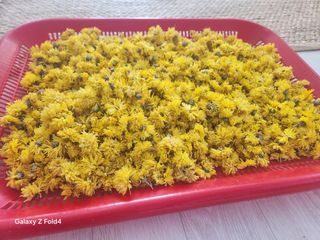 헤라여신^^♡님의 12월 작물 자랑하기 · 참여글 작성글 사진