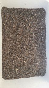 팜모닝 자유주제·자유게시판 게시글 이미지