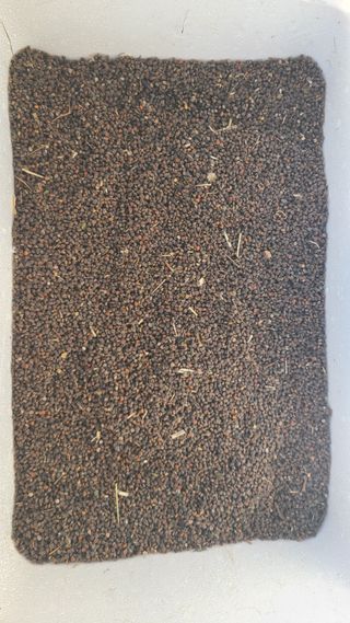 산양삼님의 자유주제 · 자유게시판 작성글 사진