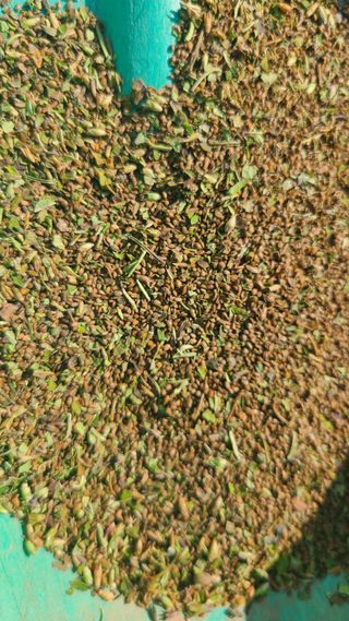 산양삼님의 자유주제 · 자유게시판 작성글 사진