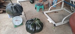 장준재님의 자유주제 · 자유게시판 작성글 사진