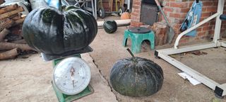 장준재님의 자유주제 · 자유게시판 작성글 사진