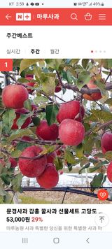 팜모닝 자유주제·자유게시판 게시글 이미지