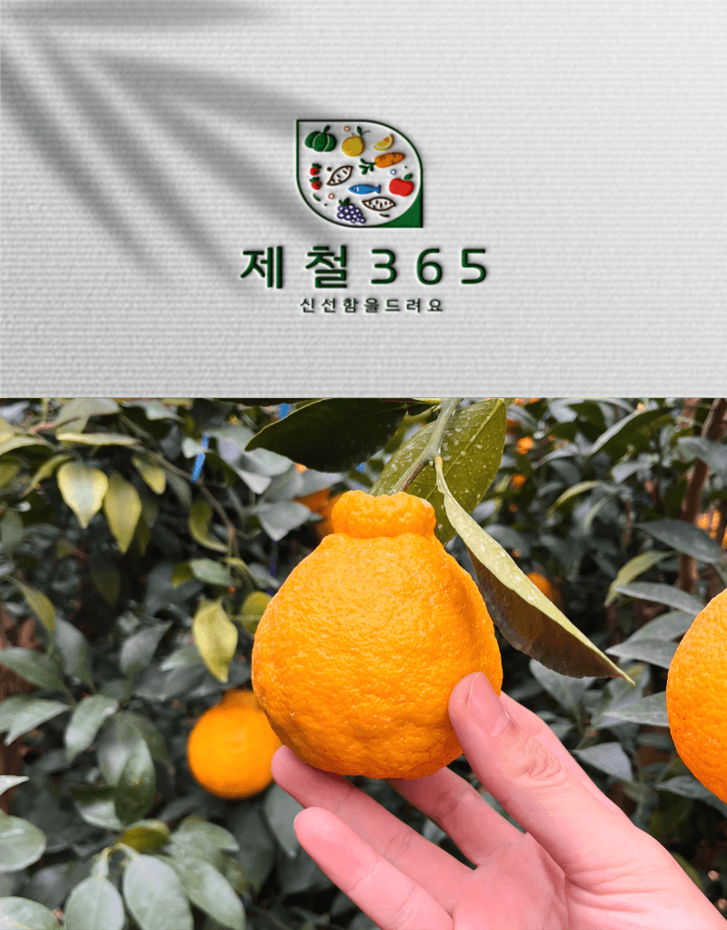 제철365님의 장터 판매 상품 [제주 산지직송 새콤달콤 한라봉] 첨부 사진