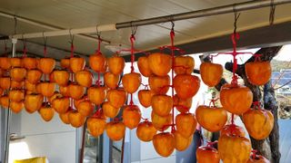 오주연님의 자유주제 · 자유게시판 작성글 사진