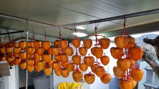 오주연님의 자유주제 · 자유게시판 작성글 사진