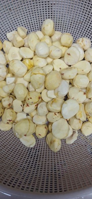 삼성농산님의 자유주제 · 자유게시판 작성글 사진