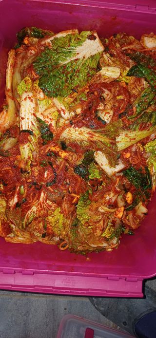 삼성농산님의 자유주제 · 자유게시판 작성글 사진