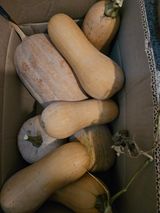 팜모닝 자유주제·자유게시판 게시글 이미지