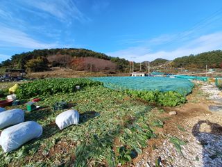 들깨16600님의 기타작물 · 영농일지 작성글 사진