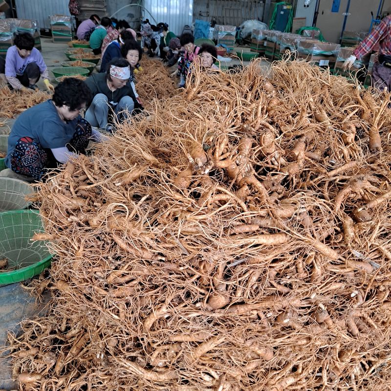 호동방인삼농장님의 장터 판매 상품 [홍삼액50봉.1박스] 첨부 사진