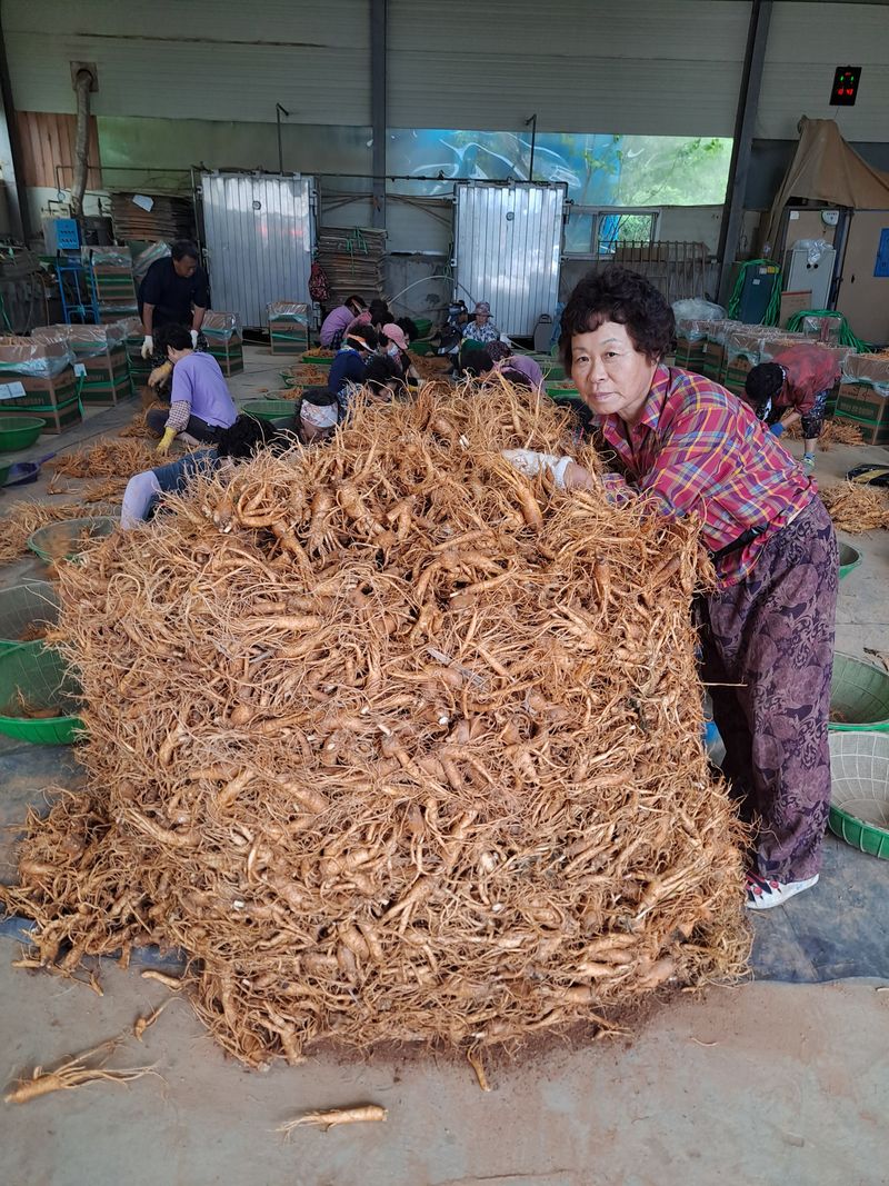 호동방인삼농장님의 장터 판매 상품 [홍삼액50봉.1박스] 첨부 사진