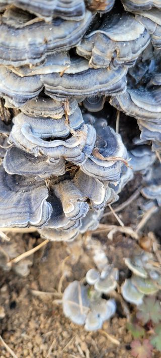 니나노님의 농사, 무엇이든 물어보세요! · 참여글 작성글 사진