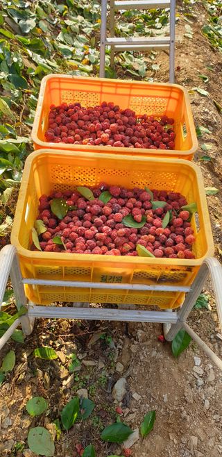 김현연님의 작성글 사진