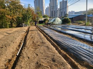 정창흠님의 자유주제 · 자유게시판 작성글 사진