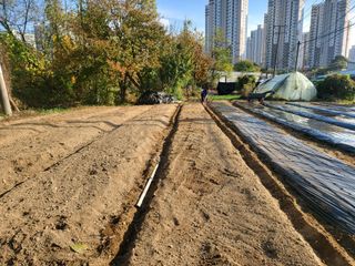 정창흠님의 자유주제 · 자유게시판 작성글 사진