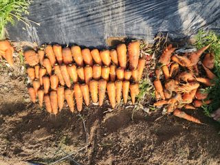 아침못자연농원님의 자유주제 · 자유게시판 작성글 사진