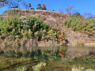 울금박사/빈덕열목사님의 자유주제 · 자유게시판 작성글 사진