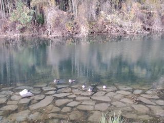 울금박사/빈덕열목사님의 자유주제 · 자유게시판 작성글 사진