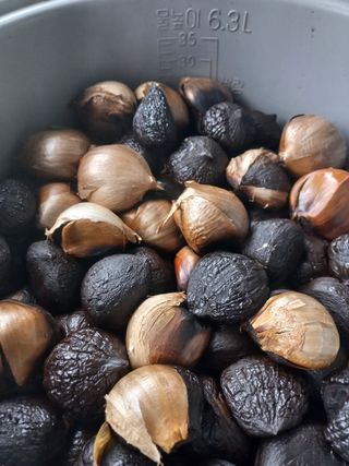 박린님의 자유주제 · 자유게시판 작성글 사진