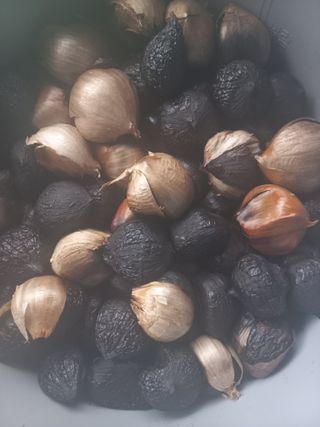 박린님의 자유주제 · 자유게시판 작성글 사진