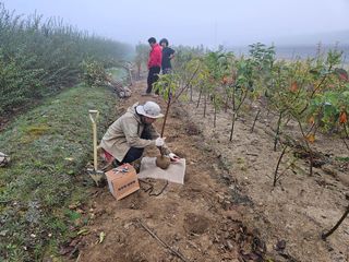 일심묘목농원님의 자유주제 · 자유게시판 작성글 사진