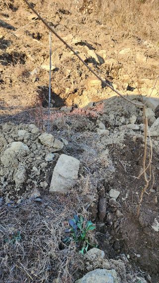 서성환님의 기타작물 · 영농일지 작성글 사진