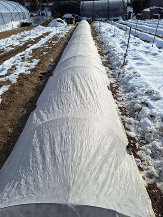 김광수님의 자유주제 · 자유게시판 작성글 사진