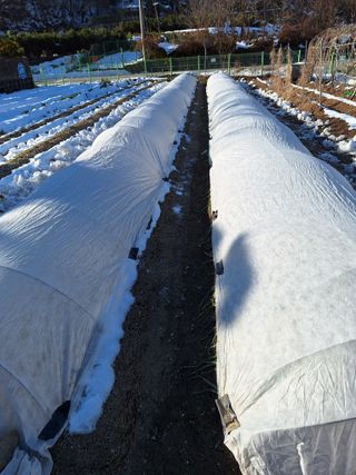 김광수님의 자유주제 · 자유게시판 작성글 사진