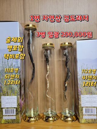 김봉호님의 작성글 사진