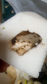 팜모닝 자유주제·자유게시판 게시글 이미지