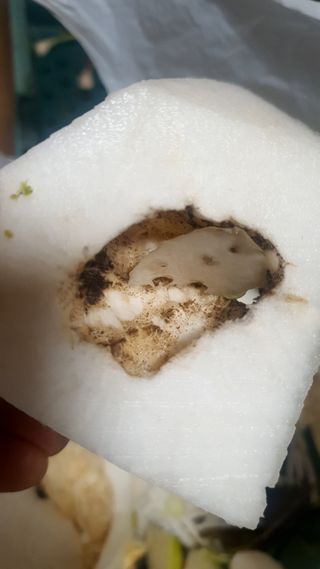 김정윤님의 자유주제 · 자유게시판 작성글 사진