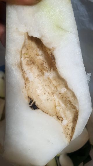 김정윤님의 자유주제 · 자유게시판 작성글 사진