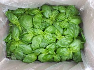 권미화님의 작성글 사진