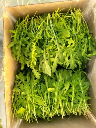 권미화님의 작성글 사진